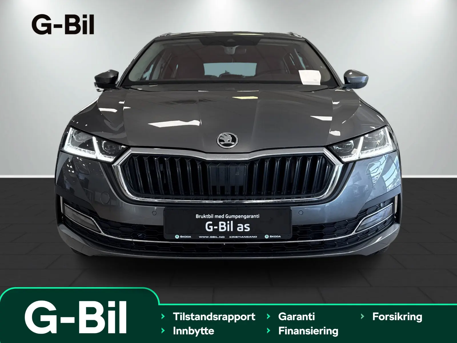 image_Skoda