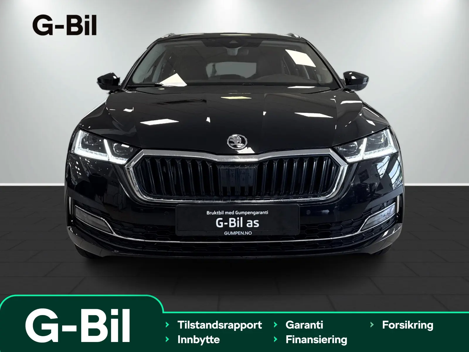 image_Skoda